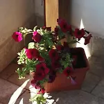 La Torre Appartamento *