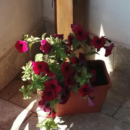 La Torre Apartment *